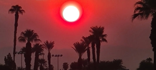 Beautiful Images Resulting From Something Bad